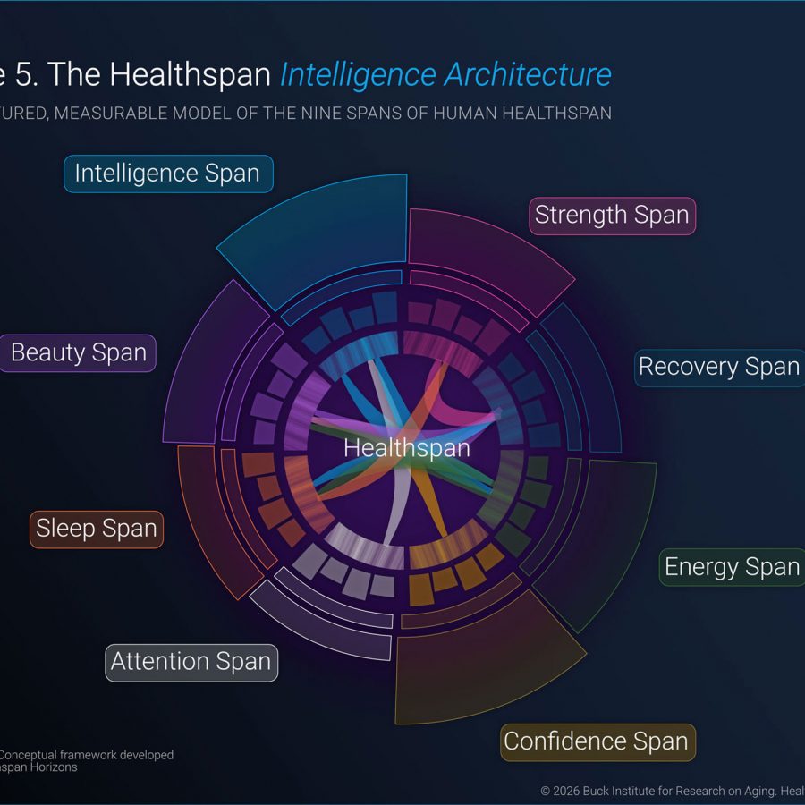 Figure 5. The Healthsapn Intelligence Architecture